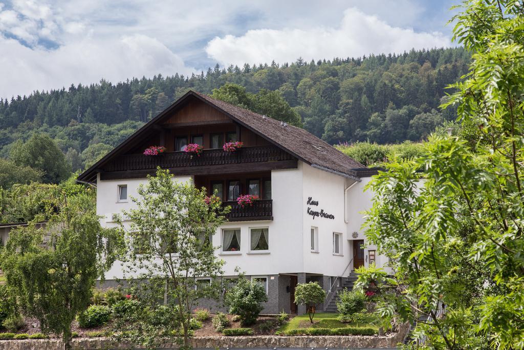 Haus Kesper-Brünen Hotel Willingen  Exterior foto