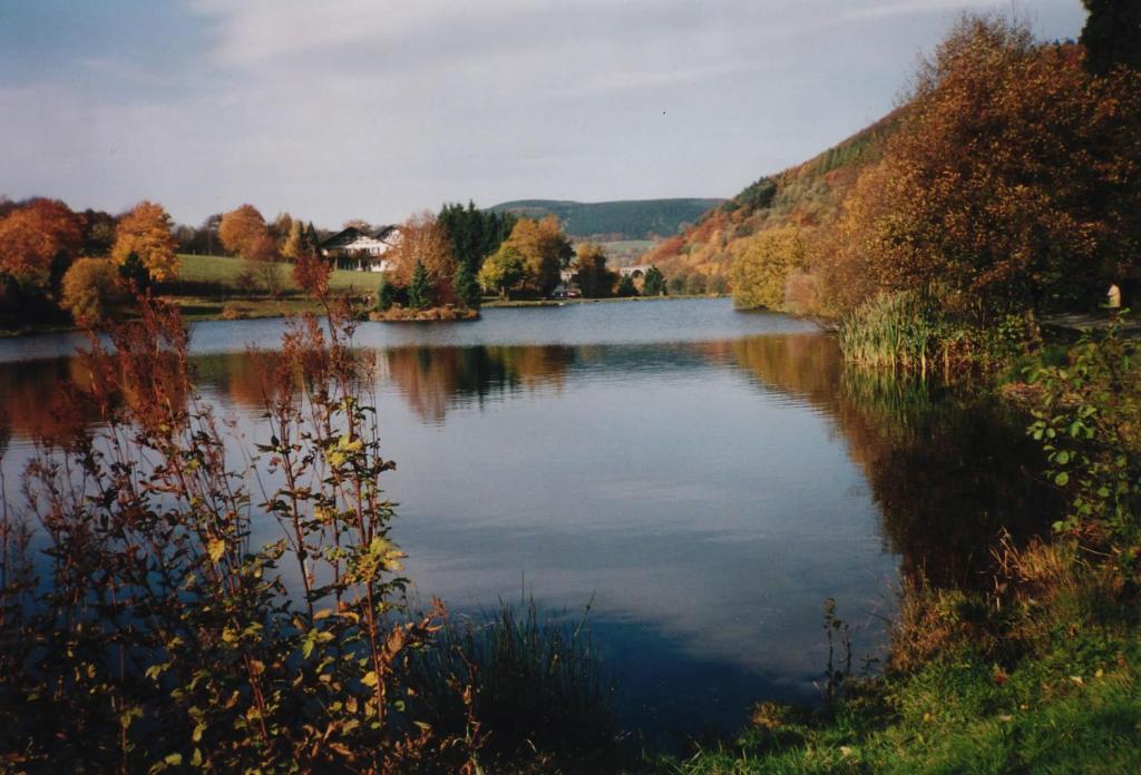 Haus Kesper-Brünen Hotel Willingen  Exterior foto